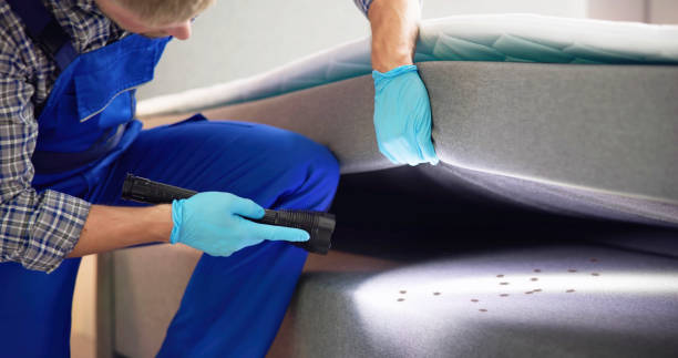 Best Affordable Pest Control Services  in Centreville, MD