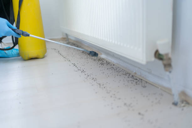 Best Best Pest Control Companies  in Centreville, MD