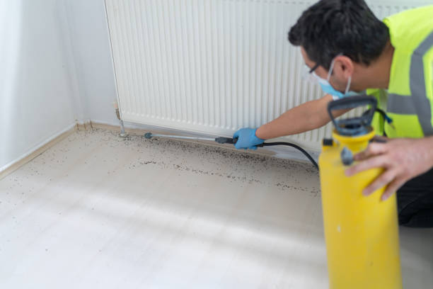 Best Commercial Pest Control Services  in Centreville, MD